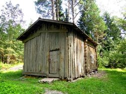 wooden hut in a forest in finland