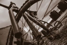 bicycle sepia