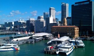 harbor with boats in auckland