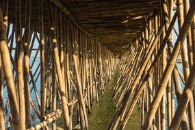 bamboo bridge across Tonle river in Cambodia