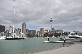 port in Auckland, New Zealand