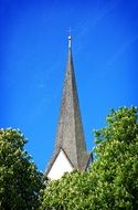 spire on the church building behind the trees