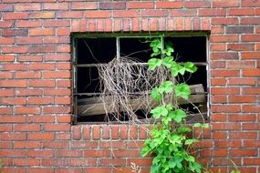 strikingly beautiful Window Ruin