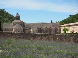 abbaye de sénanque monastery with lavender cultivation