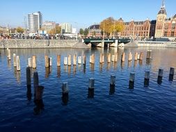 wooden beams in water in amsterdam