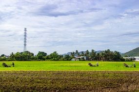 Human working on a field