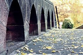 yellow leaves near a stone bridge