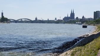 distant view of the city on the river rhine