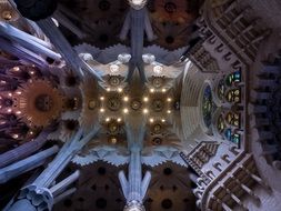 fantastic ceiling of the Sagrada Familia cathedral