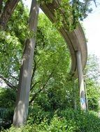 wooden poles under the bridge