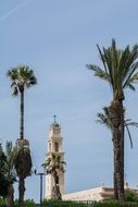 High palm trees at the background of the Church