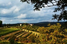 landscape of the European countryside