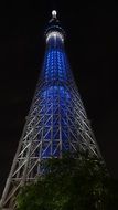 Tokyo in Japan in the evening
