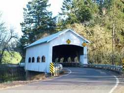 Covered bridge in forest