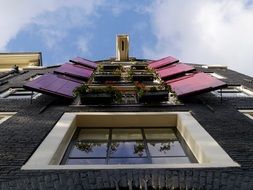 bottom view of old wall with colorful shutters on windows at sky, netherlands