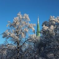 church behind the trees in the snow