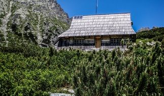 mountains wooden house