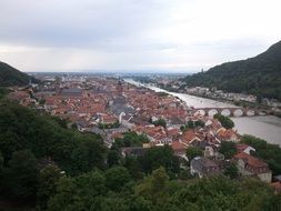 Neckar in Heidelberg