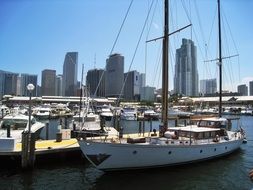 Sailing Vessel in harbor in front of city, usa, Florida, Miami