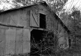 black and white photo of an abandoned barn
