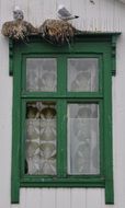 wooden green window frames