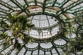 palm trees under a glass canopy
