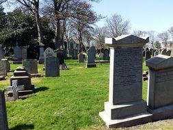 tombstones on graves in a cemetery