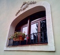 flowers in a flowerpot on the window