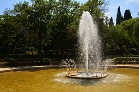 fountain in the park on a background of green trees