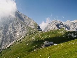 The Hill Nature
