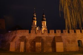 Opole Cathedral in the night city