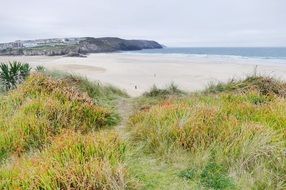 landscape of the Penhale Sands