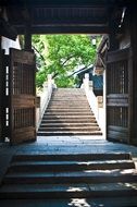 ancient wooden house in Wuzhen