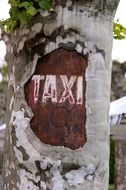 Taxi City sign on tree