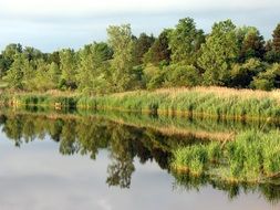 picturesque landscape reflected in the lake