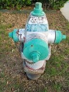 blue fire hydrant in a city park