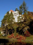 castle among green trees in poland