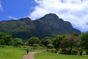 Botanical Garden in Cape Town in South Africa