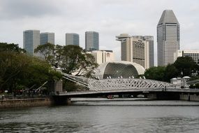 distant view of skyscrapers near a park in singapore