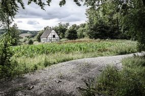 lonely house in a green field