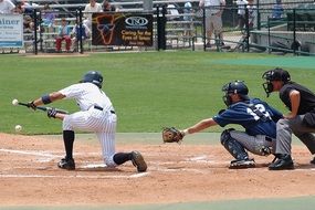 Baseball Batter Hit