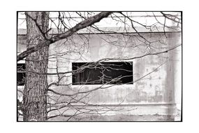 black and white photo of a bungalow with a window