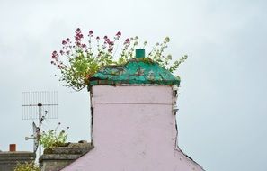 Chimney Fireplace Roof