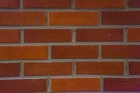 Closeup photo of Brick Wall building