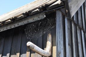 the rural woodshed in the web