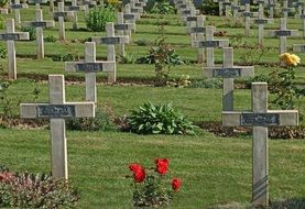 many crosses in a military cemetery