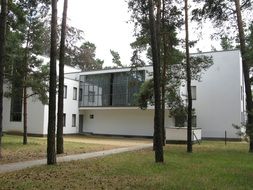 house behind the trees