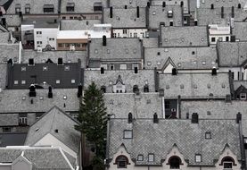 Black and white photo of the roofs