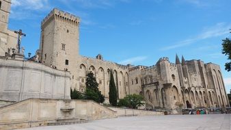 wonderful facade of palais des papes