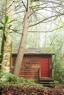 landscape of Wooden Cabin and Trees